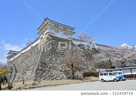 Wa-no-yagura (Wa Tower), Ka-no-yagura (Ka Tower) and Somei-Yoshino cherry blossoms (Himeji Castle) Wa-no-yagura (Wa Tower), Ka-no-yagura (Ka Tower) and Somei-Yoshino cherry blossoms (Himeji Castle) 131459719
