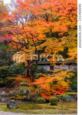 Autumn leaves in the Imperial Palace Garden at Sennyuji Temple Autumn leaves in the Imperial Palace Garden at Sennyuji Temple 131460090