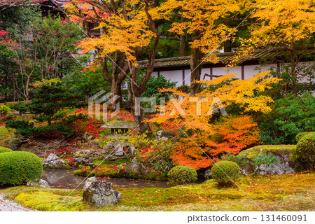 Autumn leaves in the Imperial Palace Garden at Sennyuji Temple 131460091