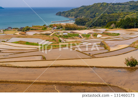 佐賀縣：多達岳的梯田與俯瞰大海的鄉村風光 131460173