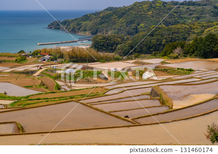 佐賀縣:多達岳的梯田與俯瞰大海的鄉村風光 佐賀縣:多達岳的梯田與俯瞰大海的鄉村風光 131460174
