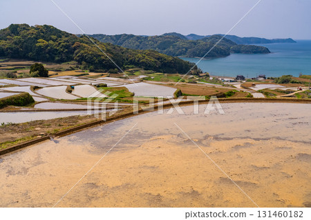 佐賀縣：多達岳的梯田與俯瞰大海的鄉村風光 131460182