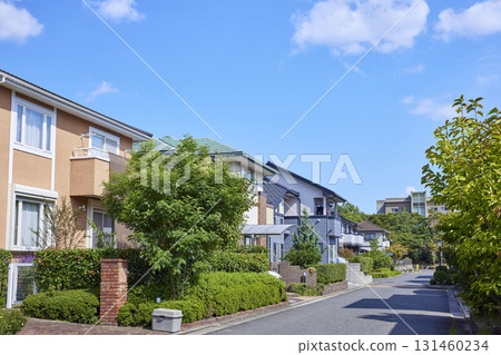 Quiet residential streetscape 131460234