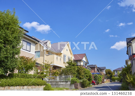 Quiet residential streetscape 131460238