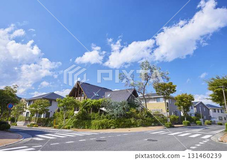 Quiet residential streetscape Quiet residential streetscape 131460239