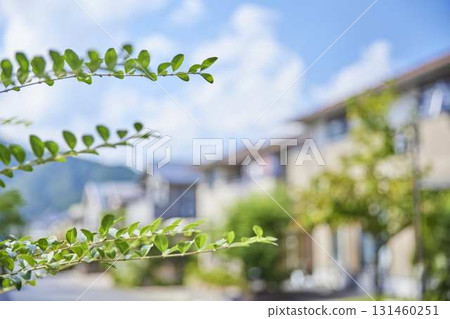 安靜的住宅街景 131460251
