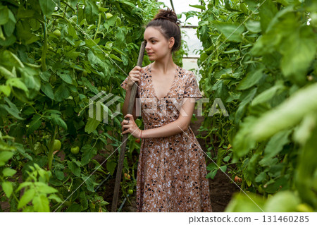 Young woman working in greenhouse among tomato plants Young woman working in greenhouse among tomato plants 131460285