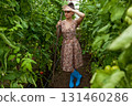 Tired woman resting in greenhouse among tomato plants 131460286