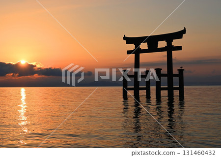 The large torii gate of Shirahige Shrine standing in Lake Biwa at dawn The large torii gate of Shirahige Shrine standing in Lake Biwa at dawn 131460432