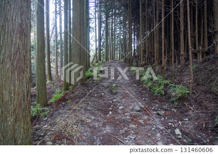 Scenery of the Kyoto Loop Trail and its surroundings 131460606