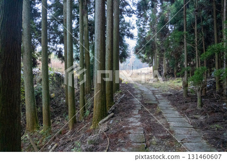 Scenery of the Kyoto Loop Trail and its surroundings 131460607