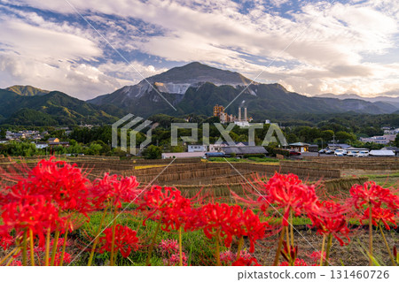 <Saitama Prefecture> Autumn in Chichibu, Terasaka Rice Terraces at Dusk 131460726