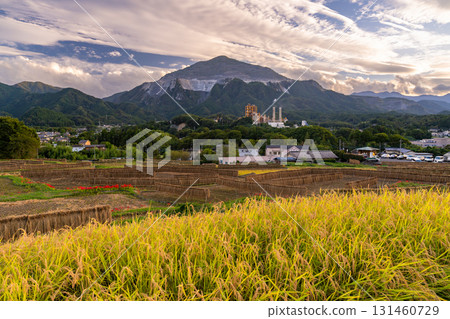 <Saitama Prefecture> Autumn in Chichibu, Terasaka Rice Terraces at Dusk 131460729