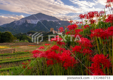 <Saitama Prefecture> Autumn in Chichibu, Terasaka Rice Terraces at Dusk 131460733