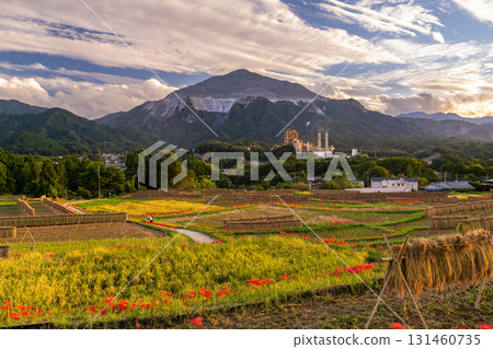 <Saitama Prefecture> Autumn in Chichibu, Terasaka Rice Terraces at Dusk <Saitama Prefecture> Autumn in Chichibu, Terasaka Rice Terraces at Dusk 131460735