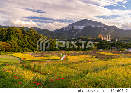 <Saitama Prefecture> Autumn in Chichibu, Terasaka Rice Terraces at Dusk 131460742