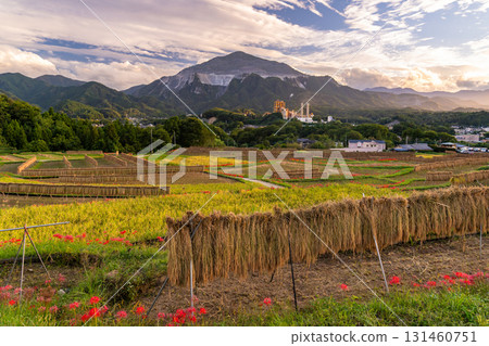 <Saitama Prefecture> Autumn in Chichibu, Terasaka Rice Terraces at Dusk 131460751