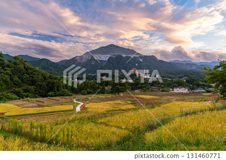<Saitama Prefecture> Autumn in Chichibu, Terasaka Rice Terraces at Dusk 131460771