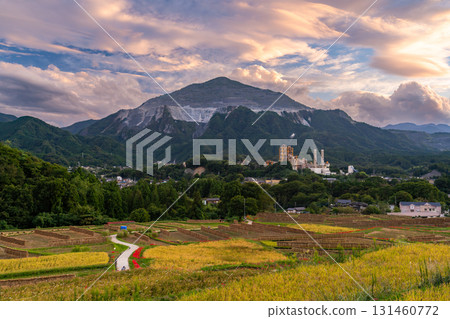 <Saitama Prefecture> Autumn in Chichibu, Terasaka Rice Terraces at Dusk 131460772