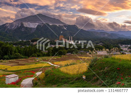 <Saitama Prefecture> Autumn in Chichibu, Terasaka Rice Terraces at Dusk <Saitama Prefecture> Autumn in Chichibu, Terasaka Rice Terraces at Dusk 131460777