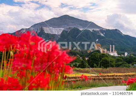 <Saitama Prefecture> Autumn in Chichibu, Terasaka Rice Terraces at Dusk 131460784