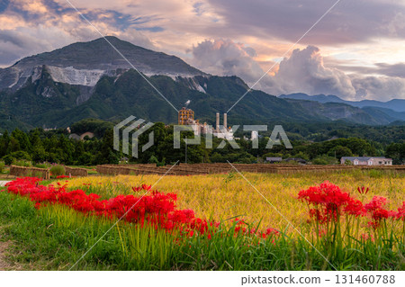 <埼玉縣>秩父的秋天、寺坂梯田的黃昏 131460788
