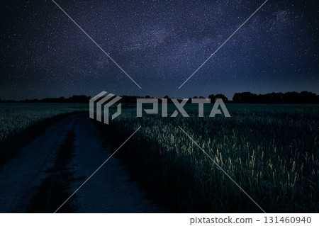 Dirty Rural Road In Countryside. Green Barley Field In Early Summer. Agricultural background. Night starry sky. 131460940