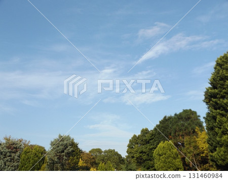 稻毛海濱公園的藍天白雲 131460984