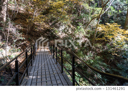 Mount Takao area 131461291