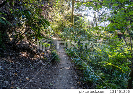 Mount Takao area 131461296