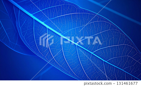 漂浮在藍色背景上的葉子輪廓 131461677