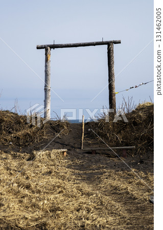 wooden supports of swing on beach of Avacha bay 131462005