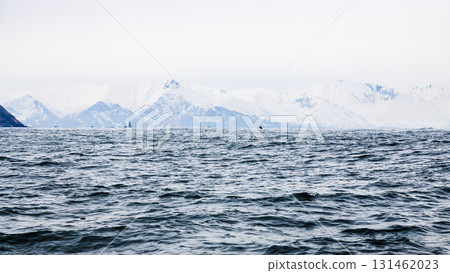 panoramic view of shore of Pacific ocean in Avacha 131462023