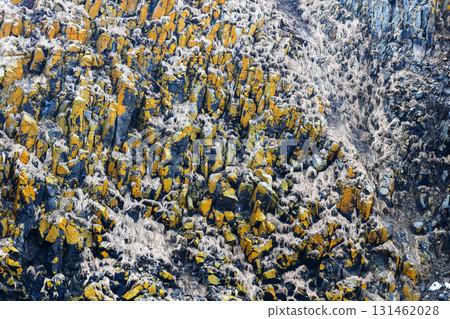 surface of rock of Starichkov island in Avacha bay surface of rock of Starichkov island in Avacha bay 131462028