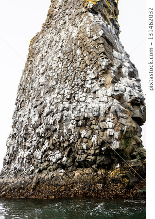 rock with sea birds colony in Pacific ocean rock with sea birds colony in Pacific ocean 131462032
