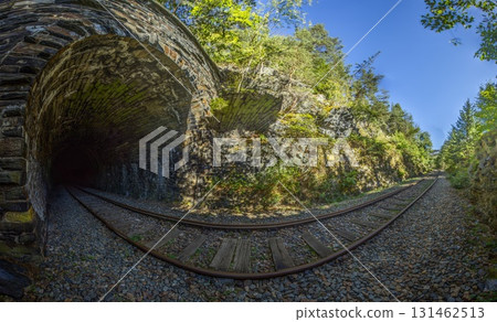 Railway tunnel and forest cutting panorama Thuringia Germany 131462513