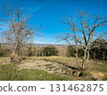 Ground-level view of the San Andres necropolis in Villarcayo, Burgos, Spain. The image shows 131462875