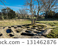 Ground-level view of the San Andres necropolis in Villarcayo, Burgos, Spain. The image shows 131462876