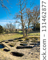 Ground-level view of the San Andres necropolis in Villarcayo, Burgos, Spain. The image shows 131462877