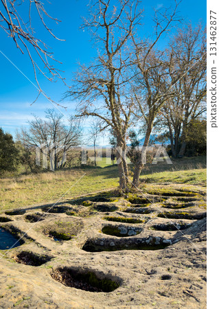Ground-level view of the San Andres necropolis in Villarcayo, Burgos, Spain. The image shows 131462877