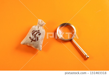 Financial investigations. Investment search. Concept for auditing, economic security, fraud prevention, corporate transparency, risk analysis and strategic business decisions. 131463318