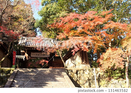 Horinji autumn leaves Horinji autumn leaves 131463582