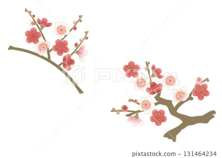 Red and white plum blossom branch set | Plum blossom, plum, branch, spring, New Year, Japanese pattern, frame Red and white plum blossom branch set | Plum blossom, plum, branch, spring, New Year, Japanese pattern, frame 131464234