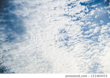 Scale clouds spreading across the autumn sky | Seasonal cloud pattern background material Scale clouds spreading across the autumn sky | Seasonal cloud pattern background material 131464433