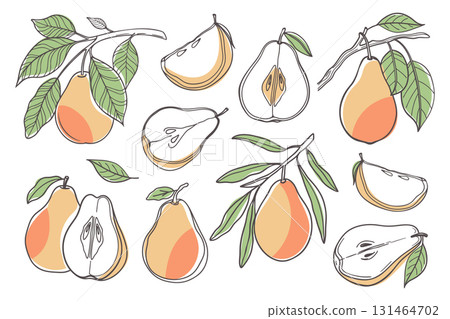 Set of hand drawn pears. Pear fruit set. Collection of pear sketches with colors. Illustration. 131464702