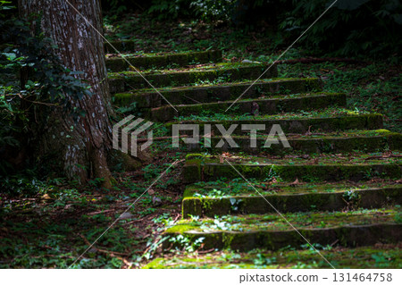 森林步道上的連續上坡階梯 131464758