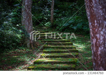 森林步道上的連續上坡階梯 131464760