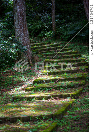 森林步道上的連續上坡階梯 131464761