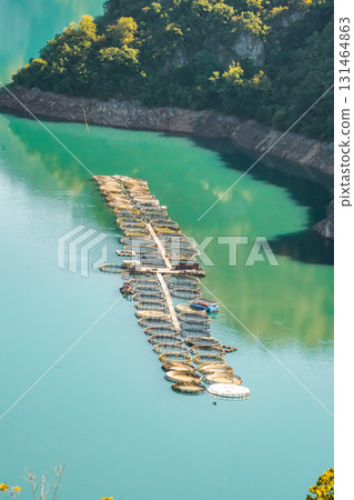 Floating circular fish farm installations in Piva Lake, Montenegro, surrounded by mountain landscape and natural water scenery 131464863