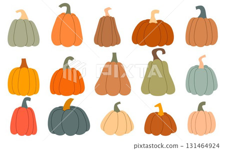 Set of colorful pumpkins of many shapes and sizes 131464924